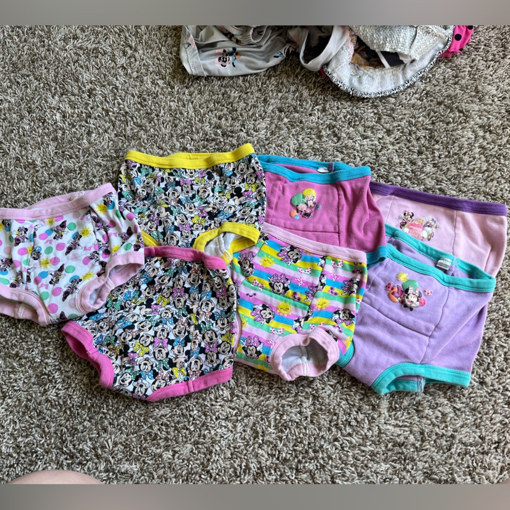 Minnie Mouse Training Underwear 4T